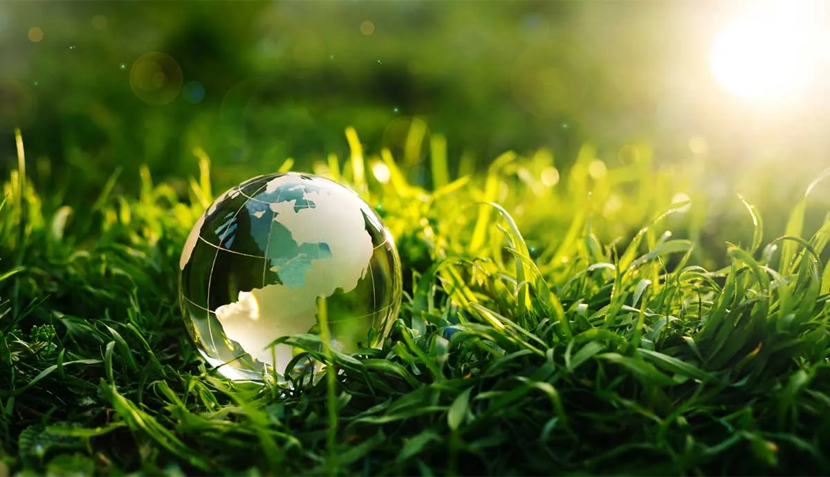 Globe in grass