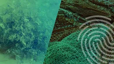 Cesa Fiber Tracer Concentrates